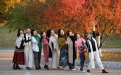 成人才看的动漫视频素材